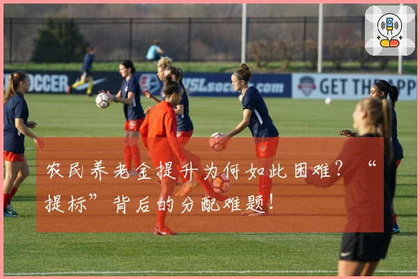 农民养老金提升为何如此困难？“提标”背后的分配难题！