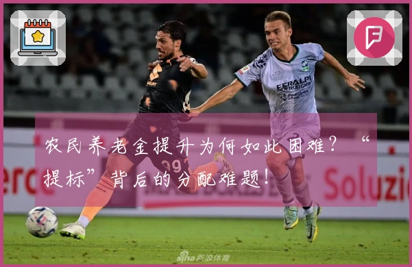 农民养老金提升为何如此困难？“提标”背后的分配难题！