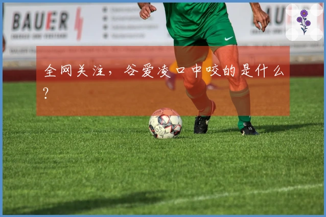 全网关注，谷爱凌口中咬的是什么？